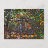 秋のリフレクションズマウンテンストリームフォト ポストカード (正面)