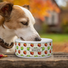 秋のリンゴの果実を赤と緑のパターンで収穫 ボウル