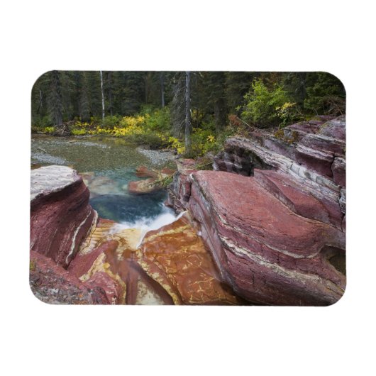 秋のレイノルズ・クリークのデッドウッド秋 マグネット (横)