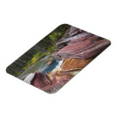 秋のレイノルズ・クリークのデッドウッド秋 マグネット (左側)