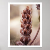 秋のワイルドフラワーフェミニンコージーな農家の壁画 ポスター (正面)