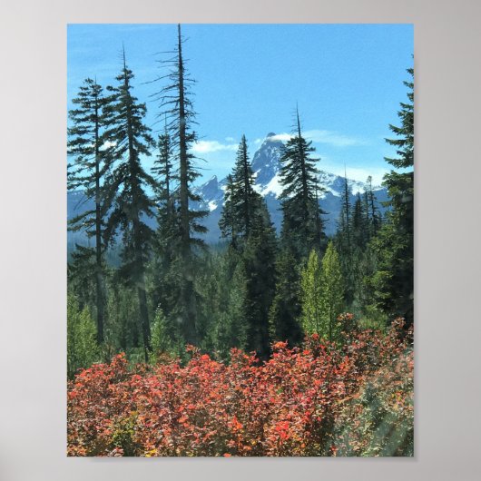 秋のワシントン山 ポスター (正面)