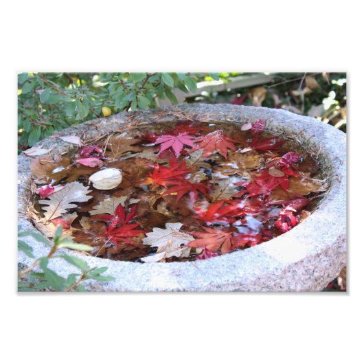 秋の一膳 フォトプリント            (正面)