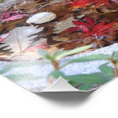 秋の一膳 フォトプリント            (角)