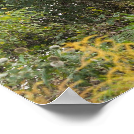 秋の並木道 ポスター (角)