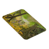 秋の並木道 マグネット (右側)