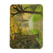 秋の並木道 マグネット (縦)