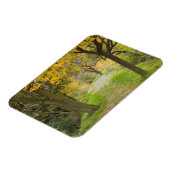 秋の並木道 マグネット (左側)