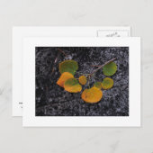 『秋の亡霊』 ポストカード (正面/裏面)