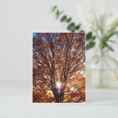 秋の光 ポストカード (スタンド正面)