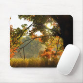 秋の光 マウスパッド (マウス)