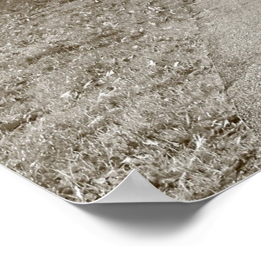 秋の公園 – Sepia Toned BW ポスター (角)