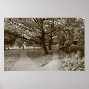 秋の公園 – Sepia Toned BW ポスター