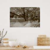 秋の公園 – Sepia Toned BW ポスター (キッチン)