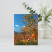 秋の写真 ポストカード (スタンド正面)