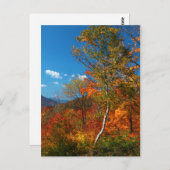 秋の写真 ポストカード (正面/裏面)