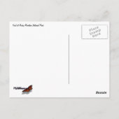 秋の初めのニンフ湖畔 ポストカード (裏面)