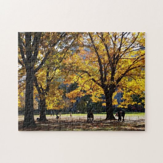 秋の午後インセントラルパーク ジグソーパズル (横)