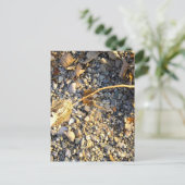 秋の印象 ポストカード (スタンド正面)