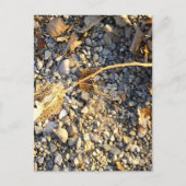 秋の印象 ポストカード (正面)