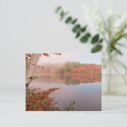 秋の反射の向こうの樺の木 ポストカード (スタンド正面)
