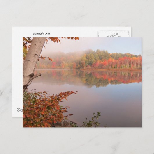 秋の反射の向こうの樺の木 ポストカード (正面/裏面)