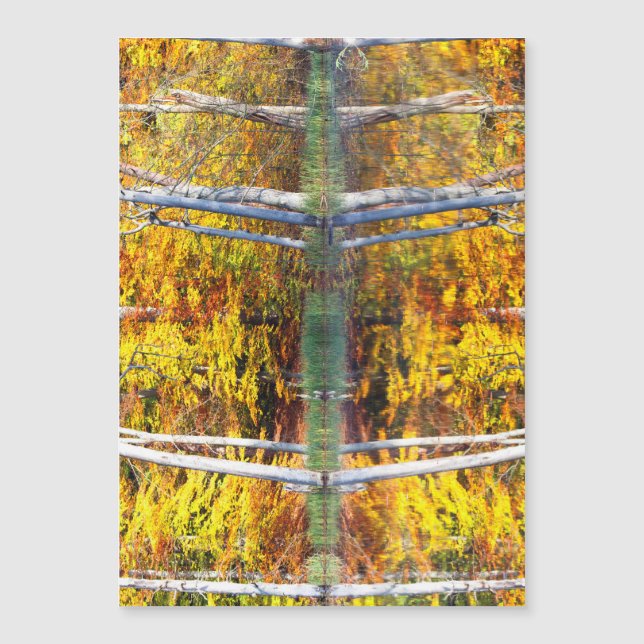 秋の反射 (正面)