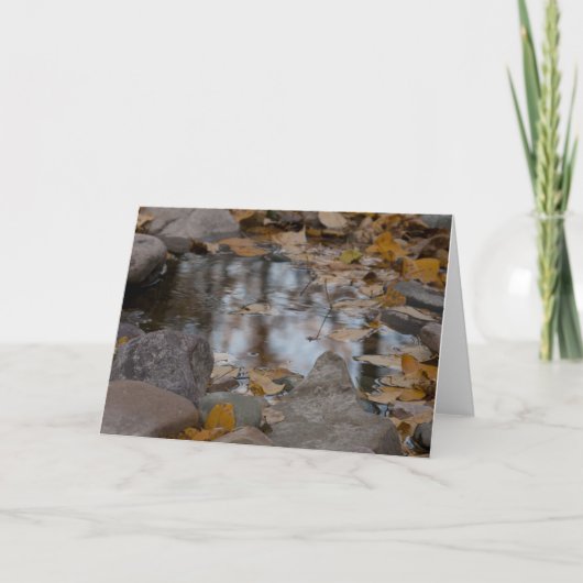 秋の反射 シーズンカード (正面)