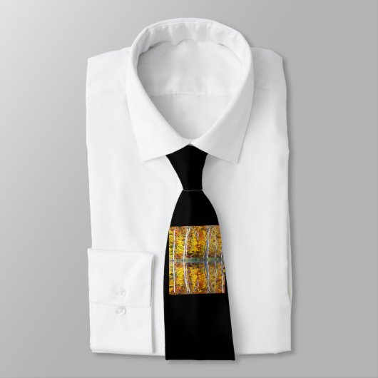 秋の反射 ネクタイ (タイ)