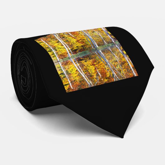 秋の反射 ネクタイ (ロール)