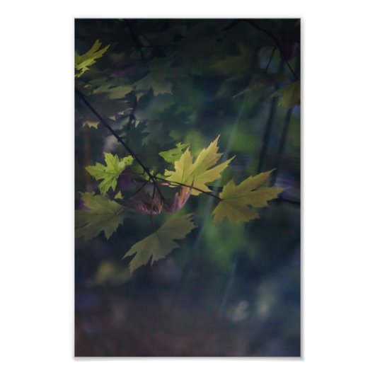 秋の反射 –  フォトプリント            (正面)