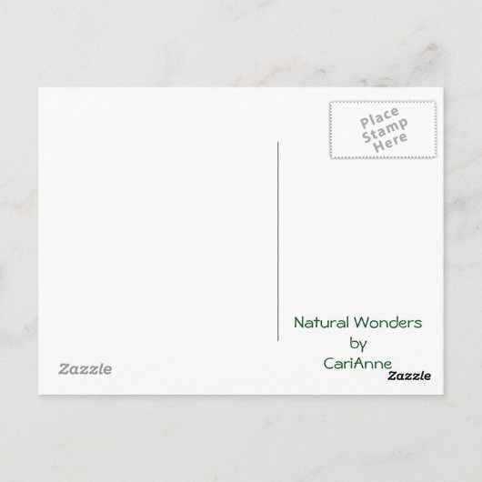 秋の反射 ポストカード (裏面)