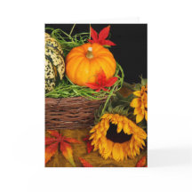 秋の収穫のひまわり