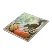 秋の収穫のリス タイル (側面)