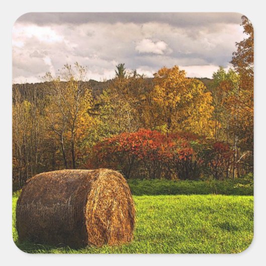 秋の収穫 スクエアシール (正面)