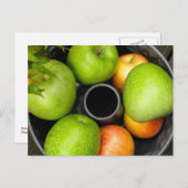 秋の収穫 ポストカード (正面/裏面)