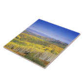 秋の国有林、近く タイル (側面)