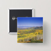 秋の国有林、近く 缶バッジ (正面&裏面)