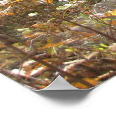 秋の国王陛下(3)ポスター ポスター (角)