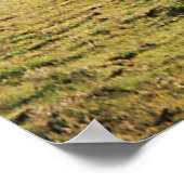 秋の国…... ポスター (角)