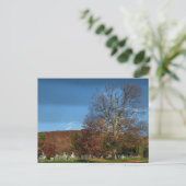 秋の墓地 ポストカード (スタンド正面)