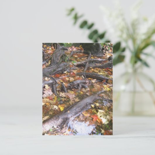 秋の夏 ポストカード (スタンド正面)