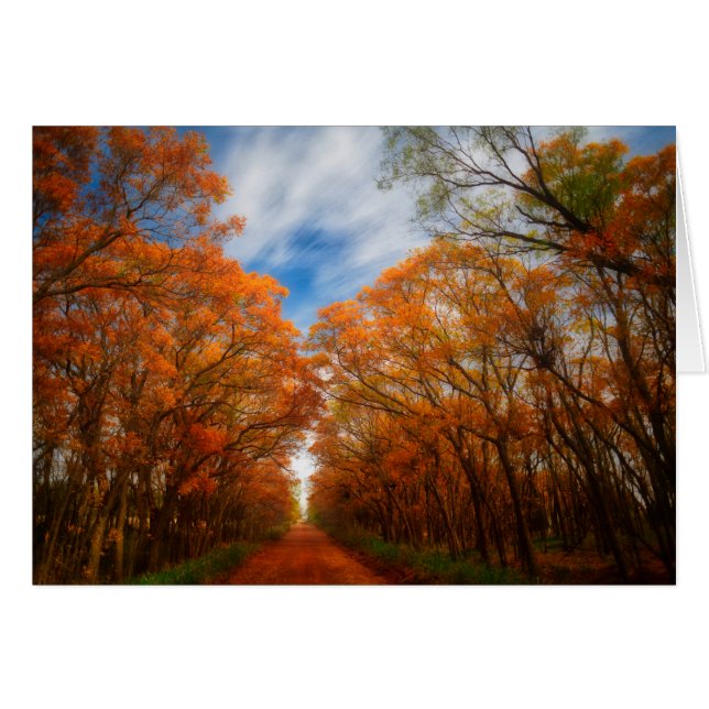 秋の夕べ (正面横)