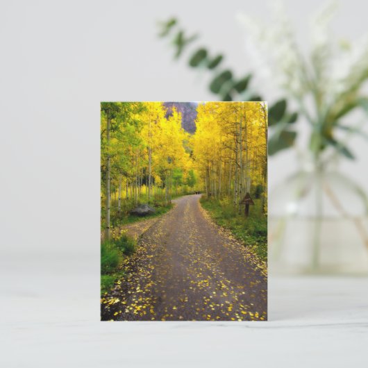 秋の夢 ポストカード (スタンド正面)