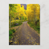 秋の夢 ポストカード (正面)