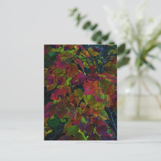 秋の夢 ポストカード (スタンド正面)