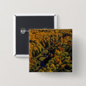 秋の大鯉、山嵐 缶バッジ (正面&裏面)