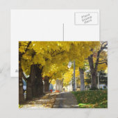 秋の天蓋はがき ポストカード (正面/裏面)