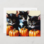 秋の子猫とカボチャ シーズンポストカード (正面/裏面)