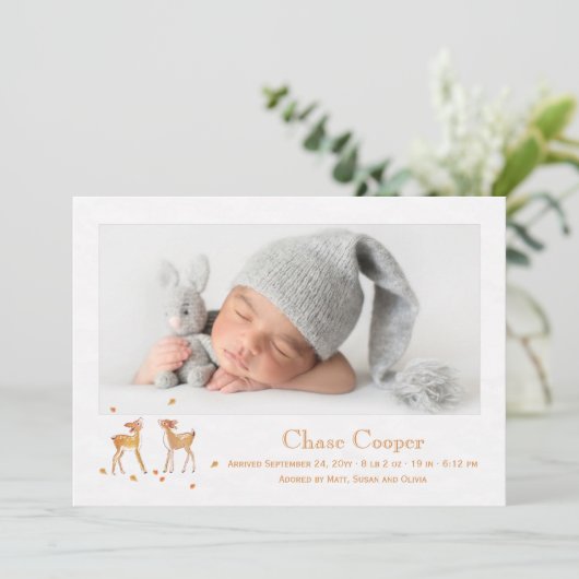 秋の子鹿の写真出産発表 案内状 (スタンド正面)